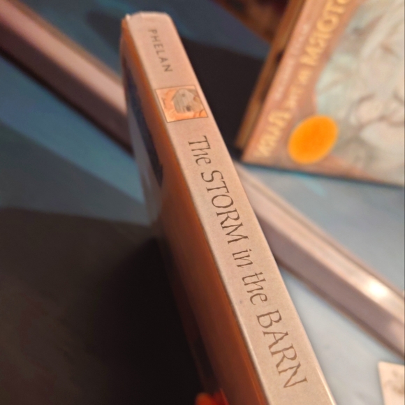 The Storm in the Barn by M.Phelan, Hardback Graphic Novel, Used - Picture 1 of 11